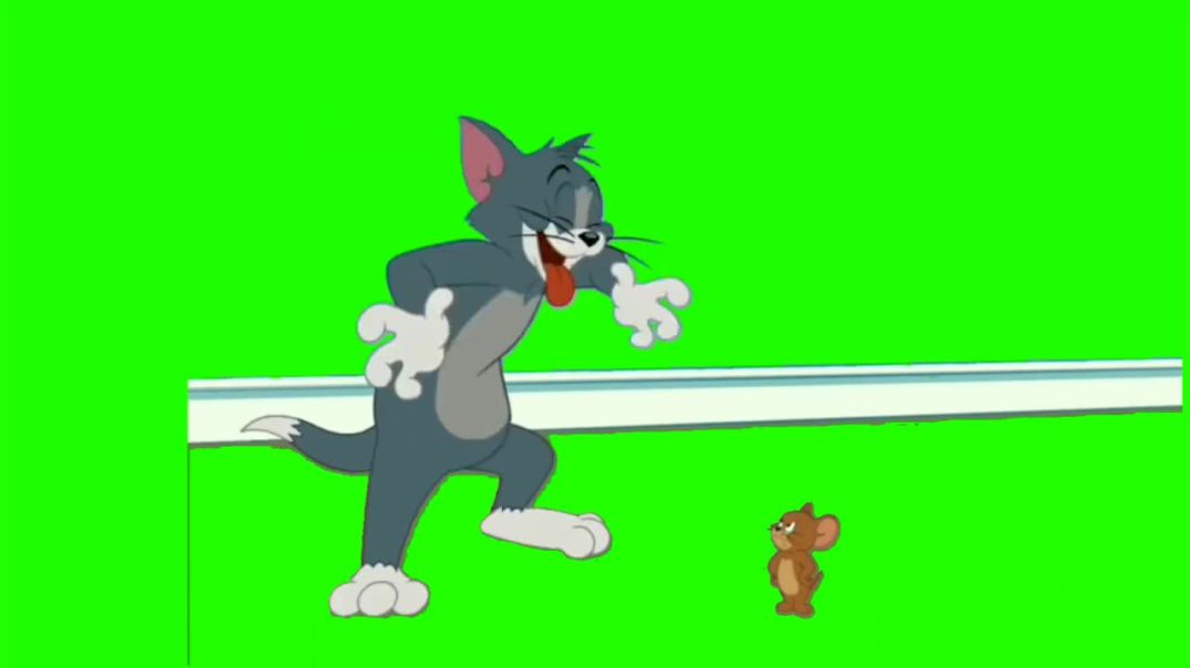 Green Screen Tom and Jerry Cartoon